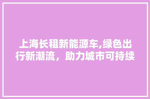 上海长租新能源车,绿色出行新潮流，助力城市可持续发展