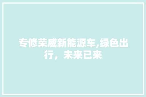 专修荣威新能源车,绿色出行，未来已来
