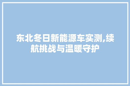 东北冬日新能源车实测,续航挑战与温暖守护
