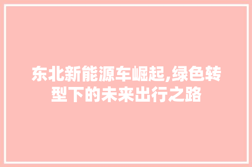 东北新能源车崛起,绿色转型下的未来出行之路