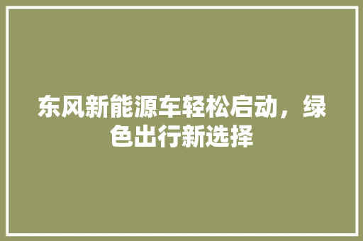 东风新能源车轻松启动，绿色出行新选择
