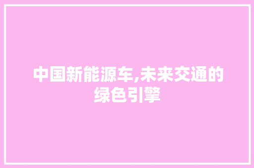 中国新能源车,未来交通的绿色引擎 汽车常识