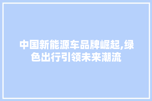 中国新能源车品牌崛起,绿色出行引领未来潮流
