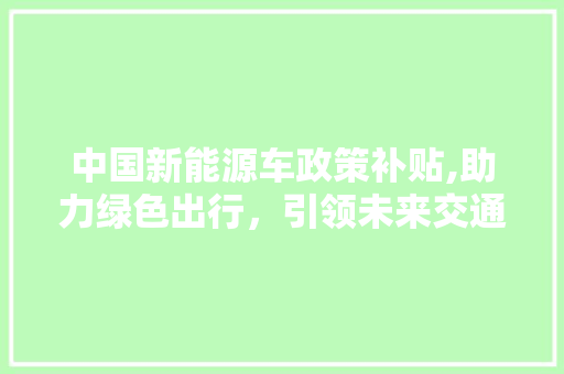 中国新能源车政策补贴,助力绿色出行，引领未来交通变革