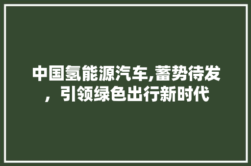 中国氢能源汽车,蓄势待发，引领绿色出行新时代 汽车常识