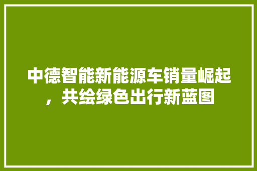 中德智能新能源车销量崛起，共绘绿色出行新蓝图
