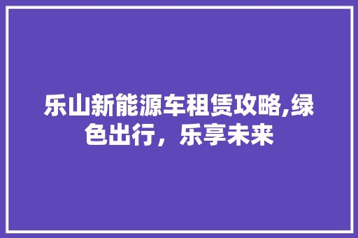 乐山新能源车租赁攻略,绿色出行，乐享未来