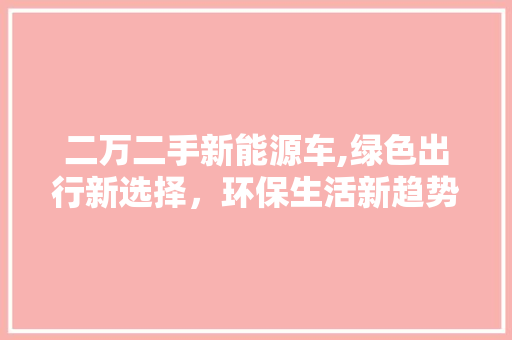 二万二手新能源车,绿色出行新选择，环保生活新趋势