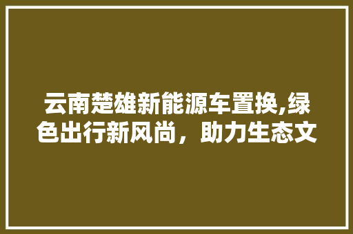 云南楚雄新能源车置换,绿色出行新风尚，助力生态文明建设