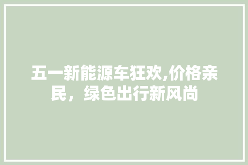 五一新能源车狂欢,价格亲民，绿色出行新风尚