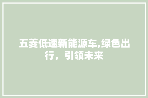 五菱低速新能源车,绿色出行，引领未来