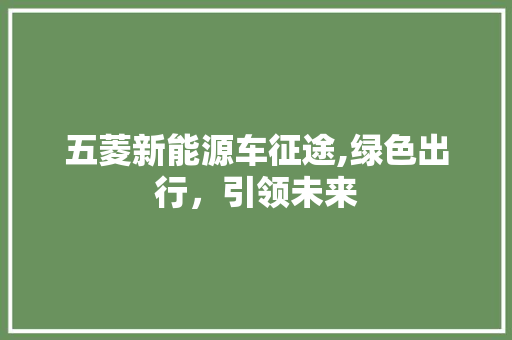 五菱新能源车征途,绿色出行，引领未来