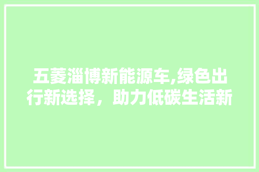 五菱淄博新能源车,绿色出行新选择，助力低碳生活新篇章