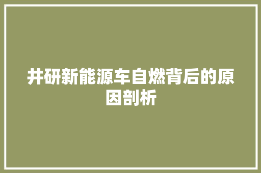 井研新能源车自燃背后的原因剖析