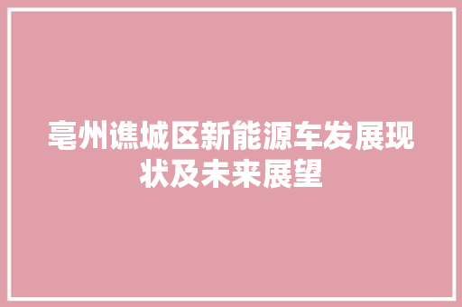 亳州谯城区新能源车发展现状及未来展望