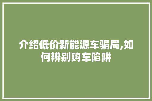 介绍低价新能源车骗局,如何辨别购车陷阱 汽车常识