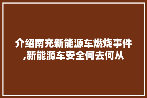 介绍南充新能源车燃烧事件,新能源车安全何去何从 汽车常识