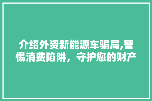介绍外资新能源车骗局,警惕消费陷阱，守护您的财产安全 汽车常识