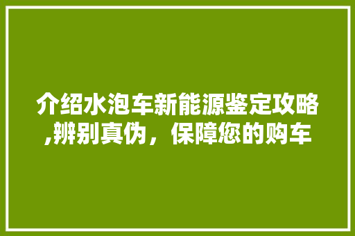 介绍水泡车新能源鉴定攻略,辨别真伪，保障您的购车权益
