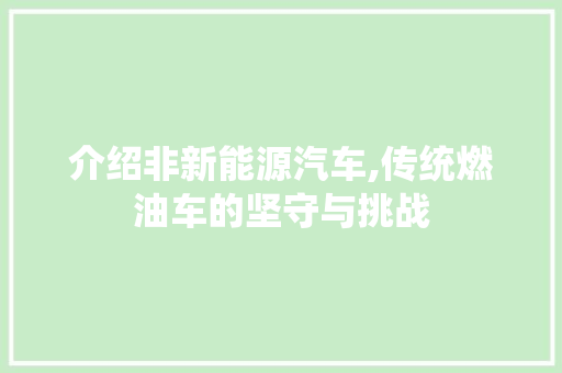 介绍非新能源汽车,传统燃油车的坚守与挑战
