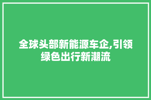 全球头部新能源车企,引领绿色出行新潮流