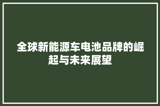 全球新能源车电池品牌的崛起与未来展望 汽车常识