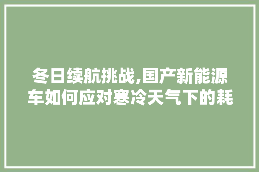 冬日续航挑战,国产新能源车如何应对寒冷天气下的耗电问题 汽车常识