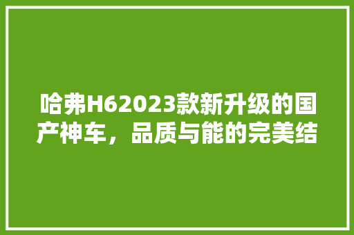 哈弗H62023款新升级的国产神车，品质与能的完美结合