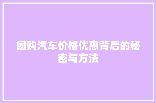团购汽车价格优惠背后的秘密与方法