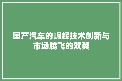 国产汽车的崛起技术创新与市场腾飞的双翼