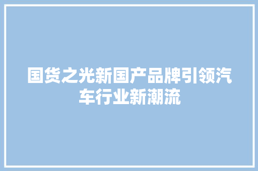 国货之光新国产品牌引领汽车行业新潮流