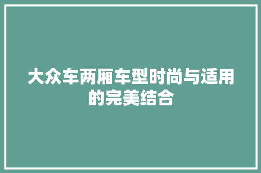 大众车两厢车型时尚与适用的完美结合 汽车常识