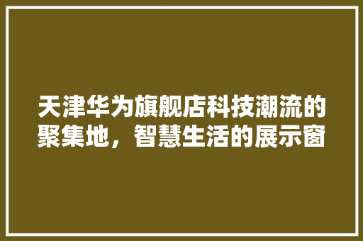 天津华为旗舰店科技潮流的聚集地，智慧生活的展示窗口