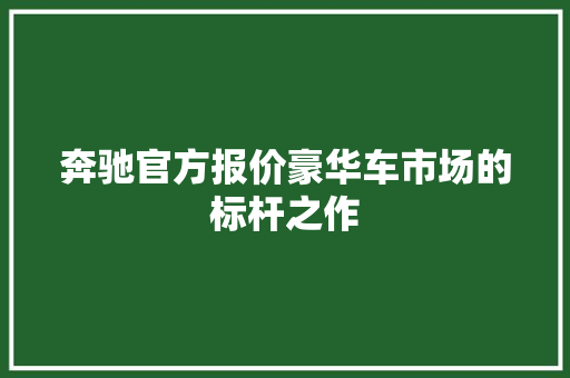 奔驰官方报价豪华车市场的标杆之作