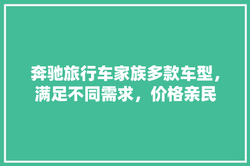 奔驰旅行车家族多款车型，满足不同需求，价格亲民