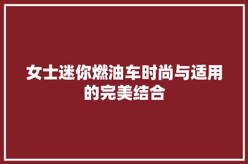 女士迷你燃油车时尚与适用的完美结合