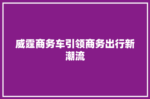 威霆商务车引领商务出行新潮流