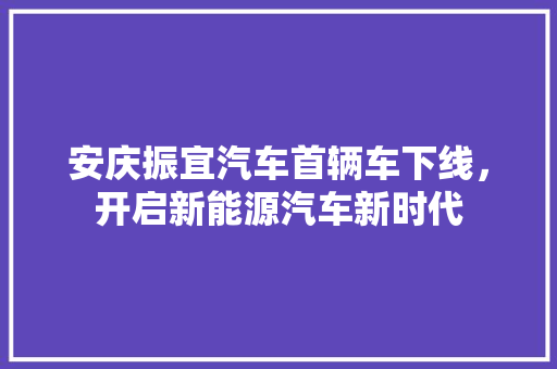 安庆振宜汽车首辆车下线，开启新能源汽车新时代 汽车常识