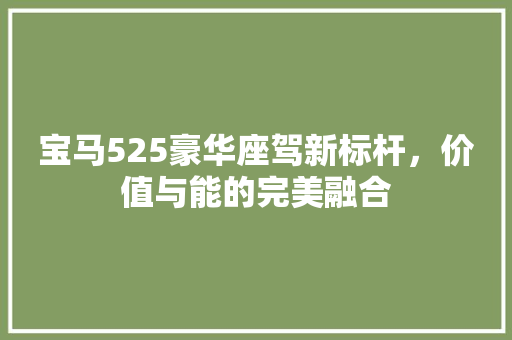 宝马525豪华座驾新标杆，价值与能的完美融合 汽车常识