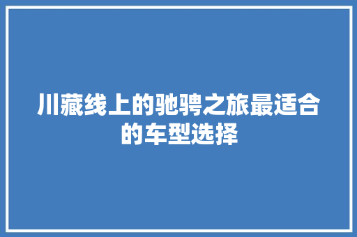 川藏线上的驰骋之旅最适合的车型选择