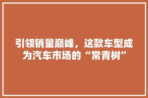 引领销量巅峰，这款车型成为汽车市场的“常青树”