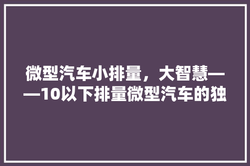 微型汽车小排量，大智慧——10以下排量微型汽车的独特魅力