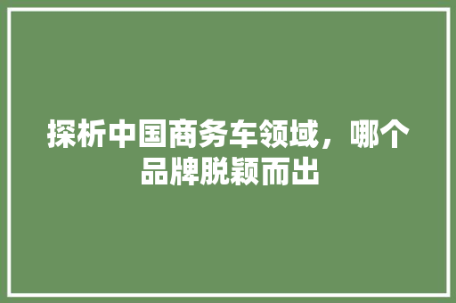 探析中国商务车领域，哪个品牌脱颖而出