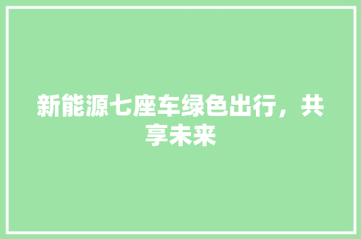 新能源七座车绿色出行，共享未来