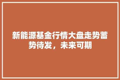 新能源基金行情大盘走势蓄势待发，未来可期