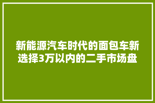 新能源汽车时代的面包车新选择3万以内的二手市场盘点