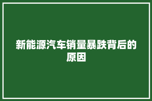 新能源汽车销量暴跌背后的原因