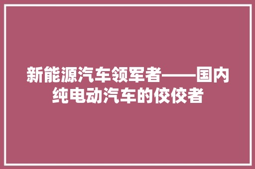 新能源汽车领军者——国内纯电动汽车的佼佼者 汽车常识