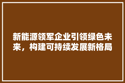 新能源领军企业引领绿色未来，构建可持续发展新格局