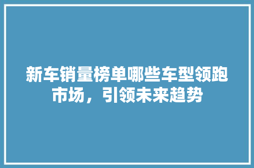 新车销量榜单哪些车型领跑市场，引领未来趋势 汽车常识